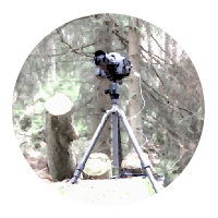 creation2©draussenzeit